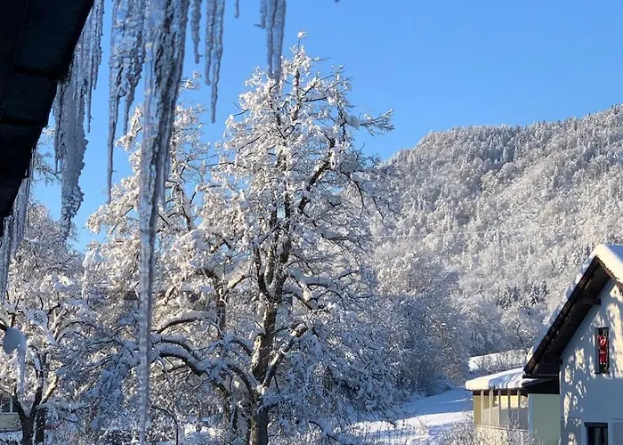 Apartament Happystayapartments Villach